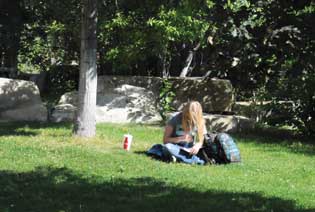 a student sits studying in Peaks to Plains Park on the MSUB University campus