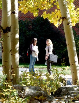 two students talk near a birch grove on the main MSU Billings campus