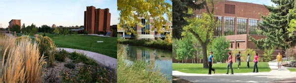 a collage of three photos of the MSUB university campus