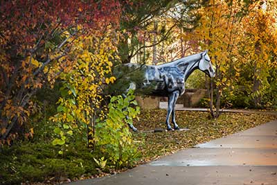 a horse statue standing in Peaks to Plains Park on the MSUB university campus