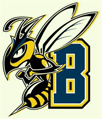 MSUB Yellowjacket mascot