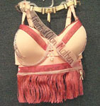 Bra-Nanza entry