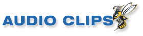 Audio Clips
