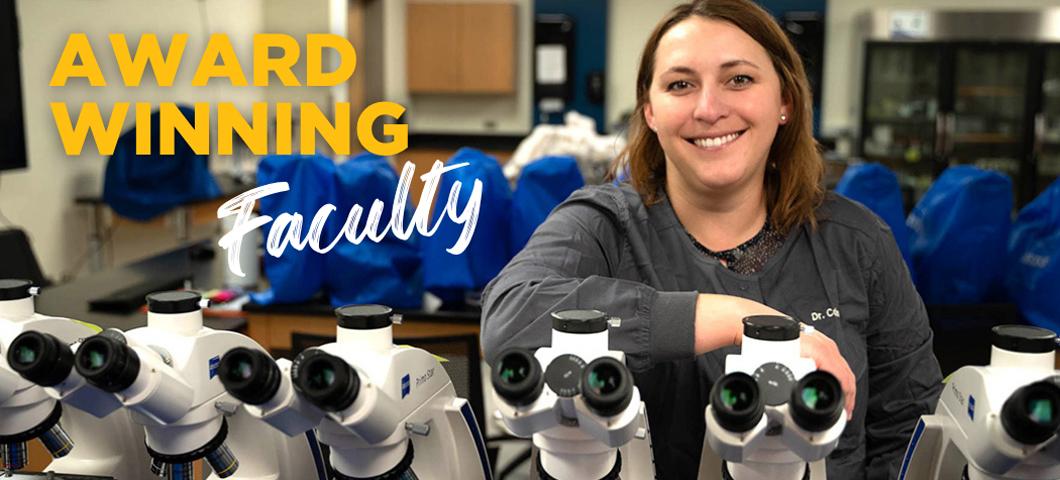 Award winning faculty