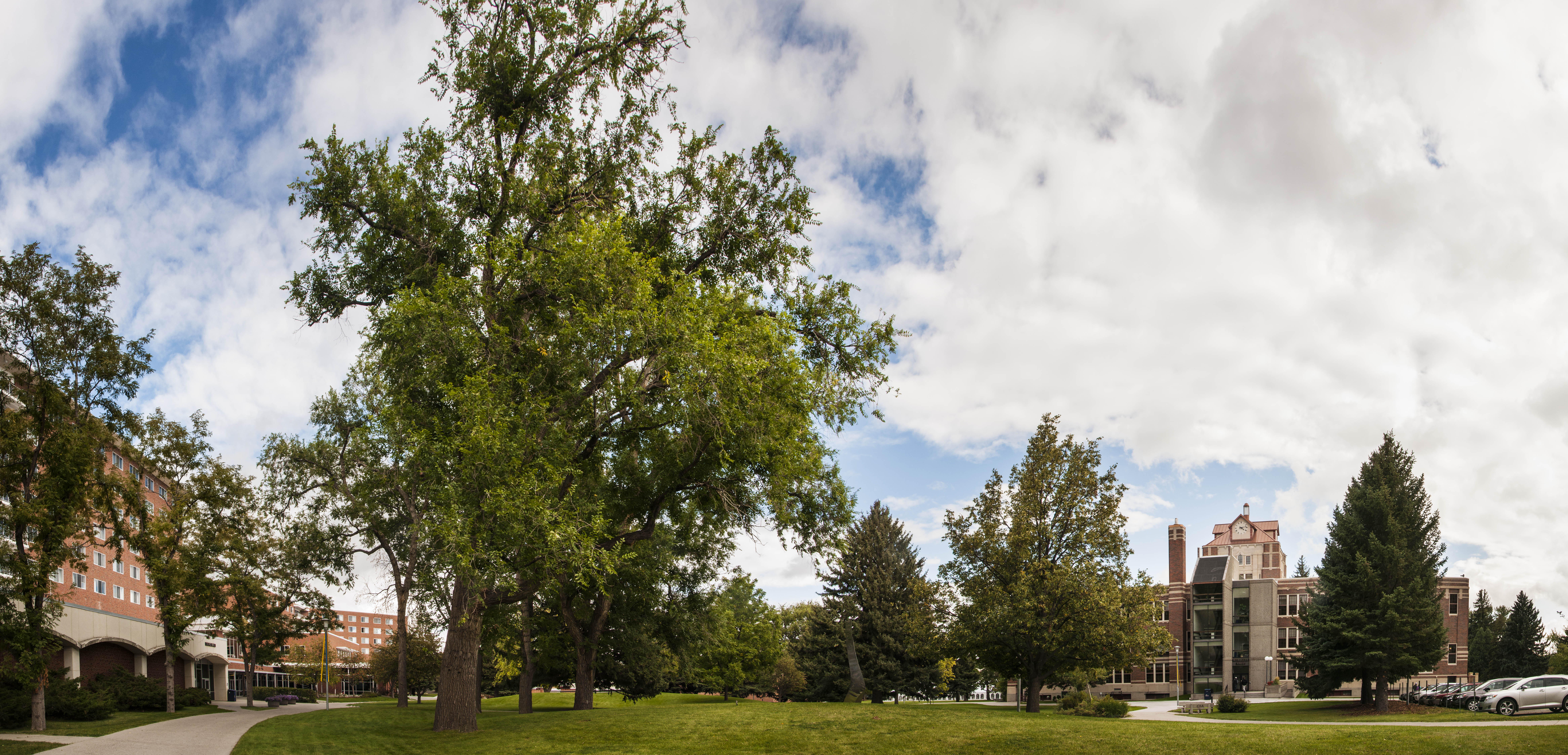 McMullen Hall Clocktower and SUB