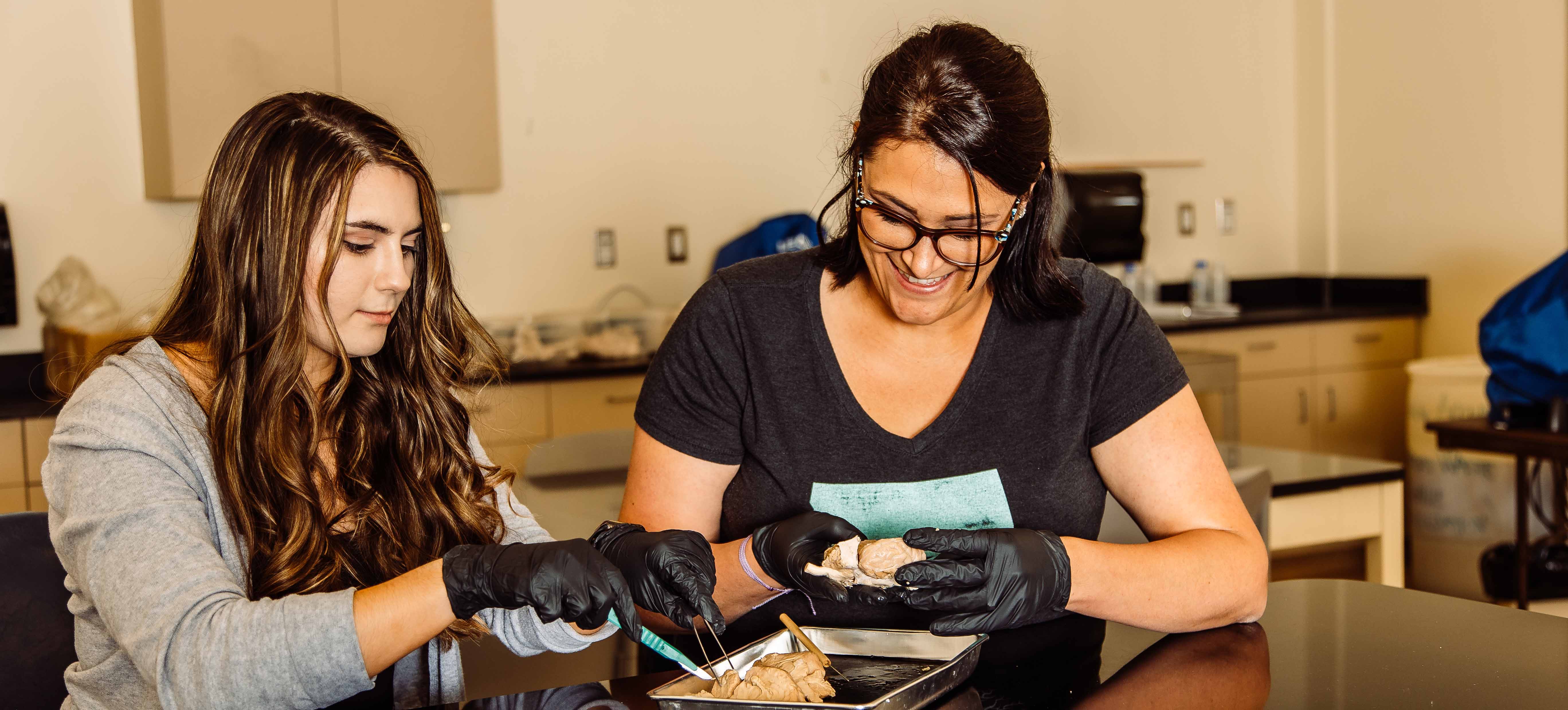 Students working on biology lab.