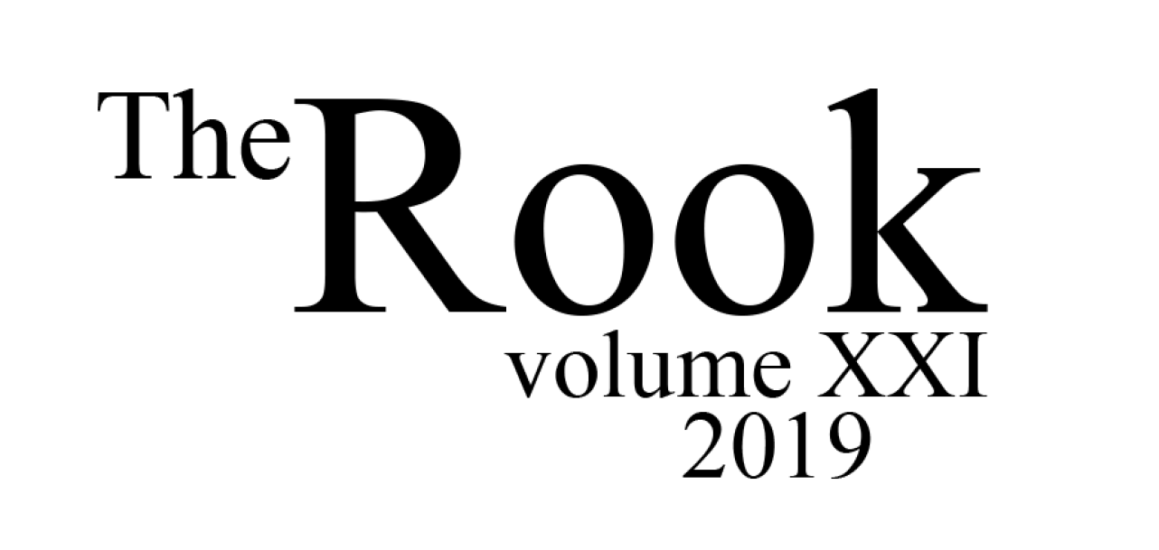 Rook 2019