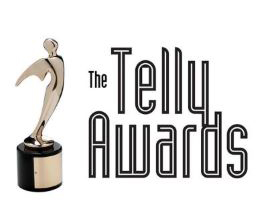 bronze Telly award