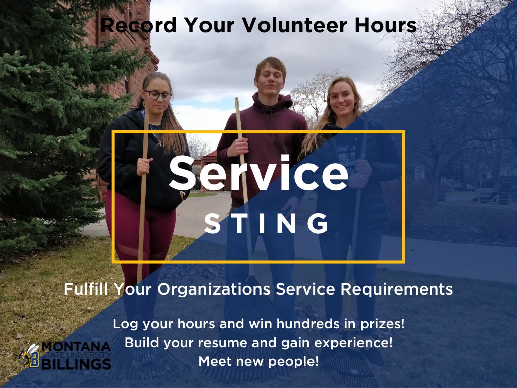 Service Sting. Record your volunteer hours