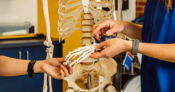 two people holding a teaching skeleton
