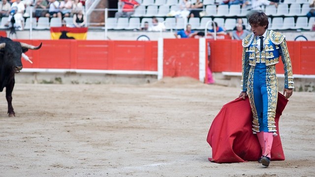 bull fighter with red cape and a bull