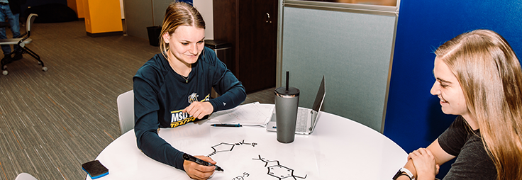 Students studying