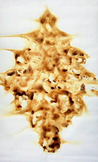 Images of Reflection