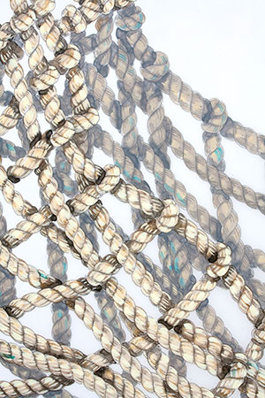 Jodi Lightner, Gathered Coherence, detail, mixed media on Mylar, dimensions variable, 2014