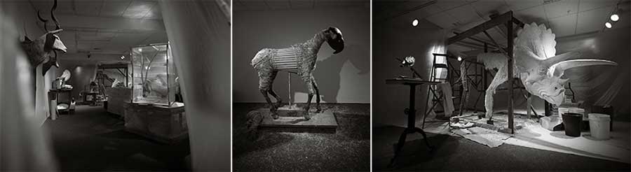 Installation views of A Subboreal Studios Mysterious Museum Installation. © Louis Habeck, 2019