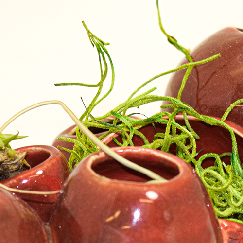 Shannon Mustari gallery entry