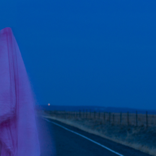 Morgan Syring gallery entry