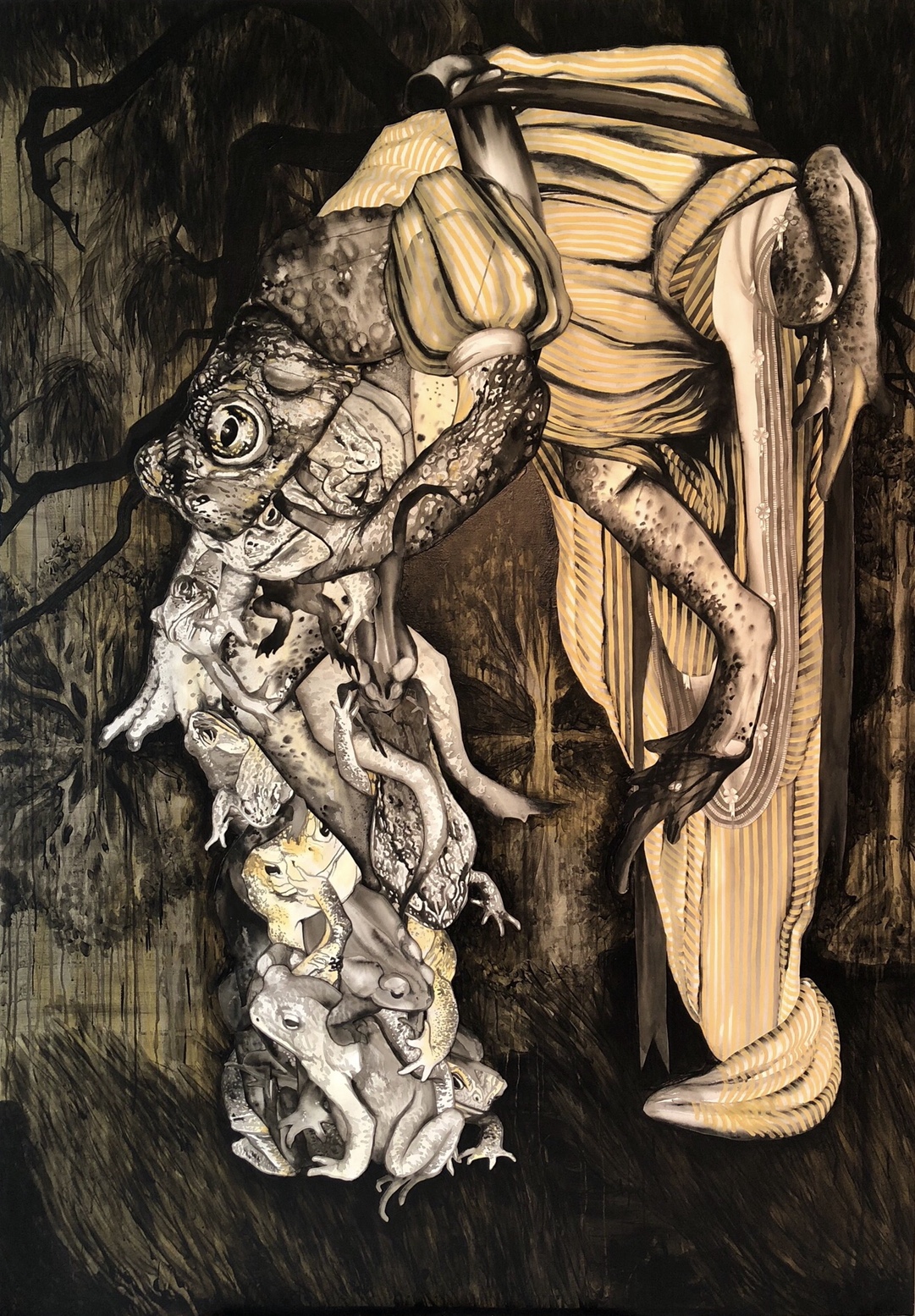 Manette Bradford Cane Toads Untitled 1 Bradford Cane Toads