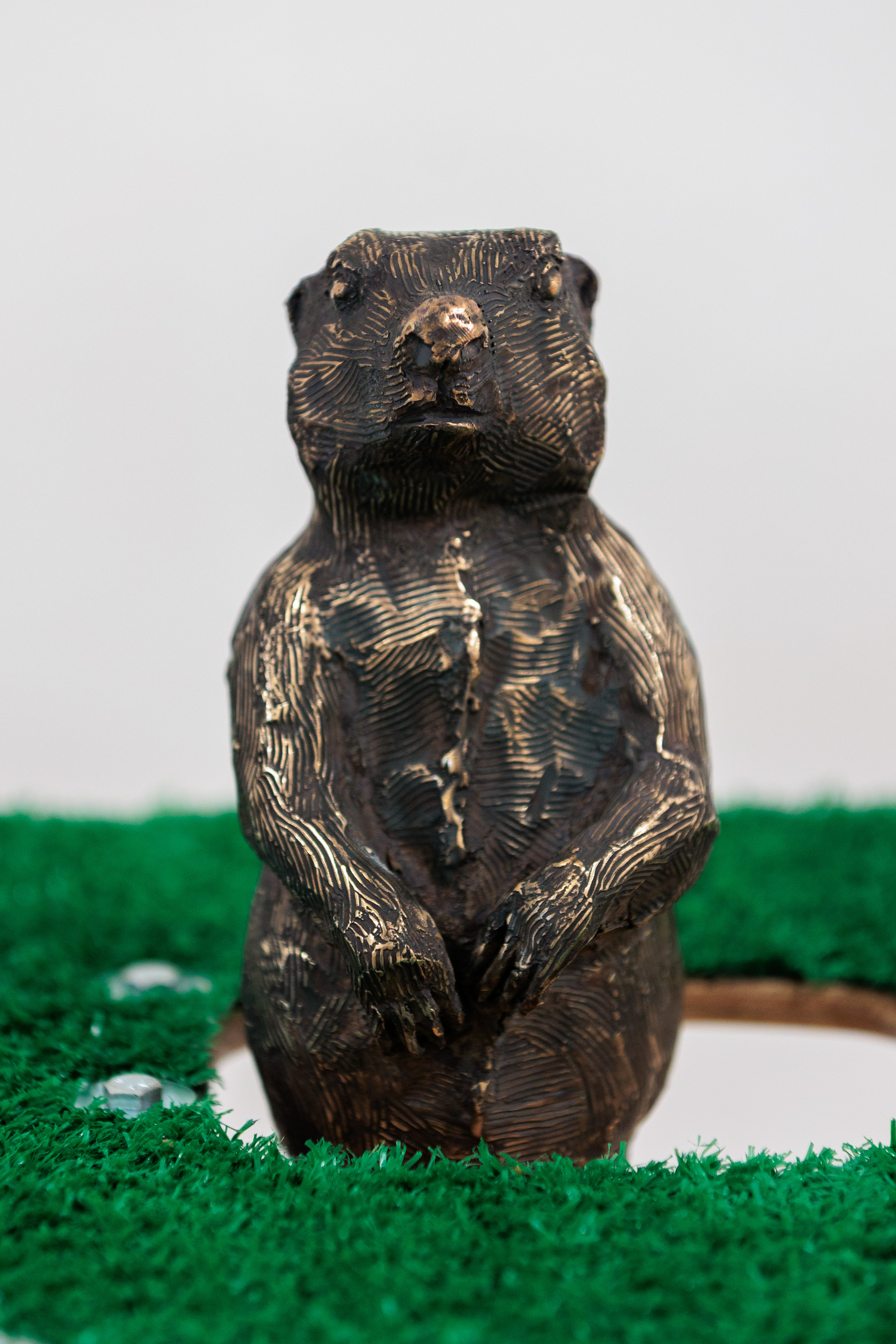 Lawn in a Prairie Blumenthal exhibition image wack a dog