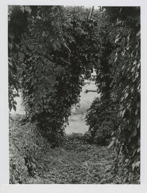 2020JSEImage3_Ruesch