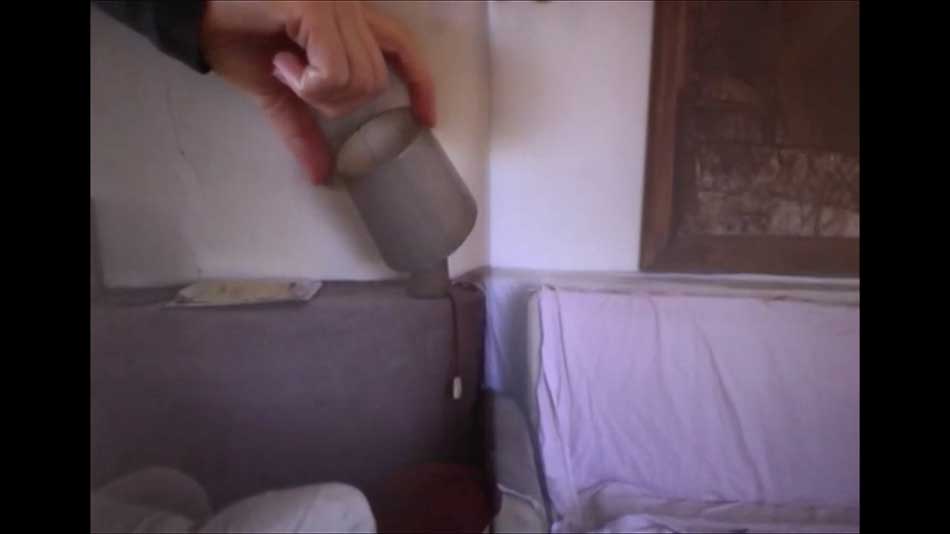 still view of Hanita Schwartz video