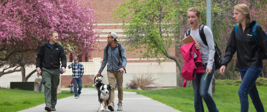 MSUB students on campus, spring
