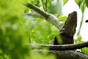 Emily Toennis sa image2