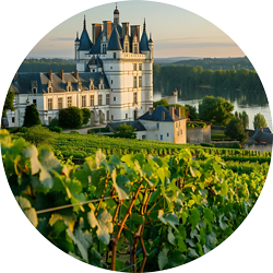 Montsoreau Castle Loire Valley, France