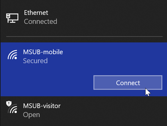 Connect to MSUB-mobile