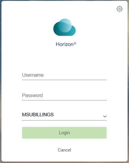Sign in with NetID and Password