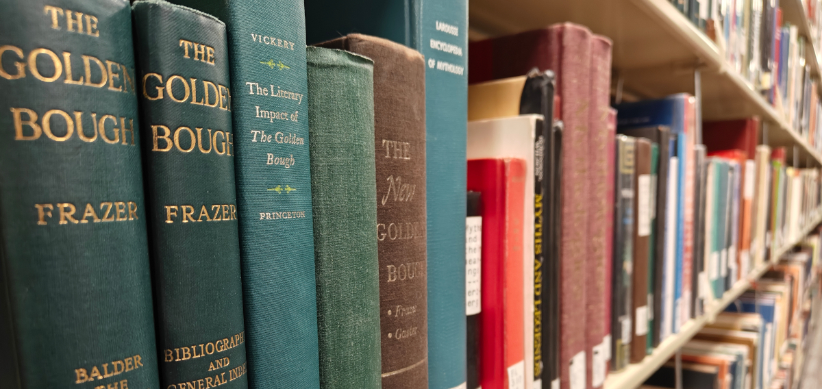 A row of library books on a shelf
