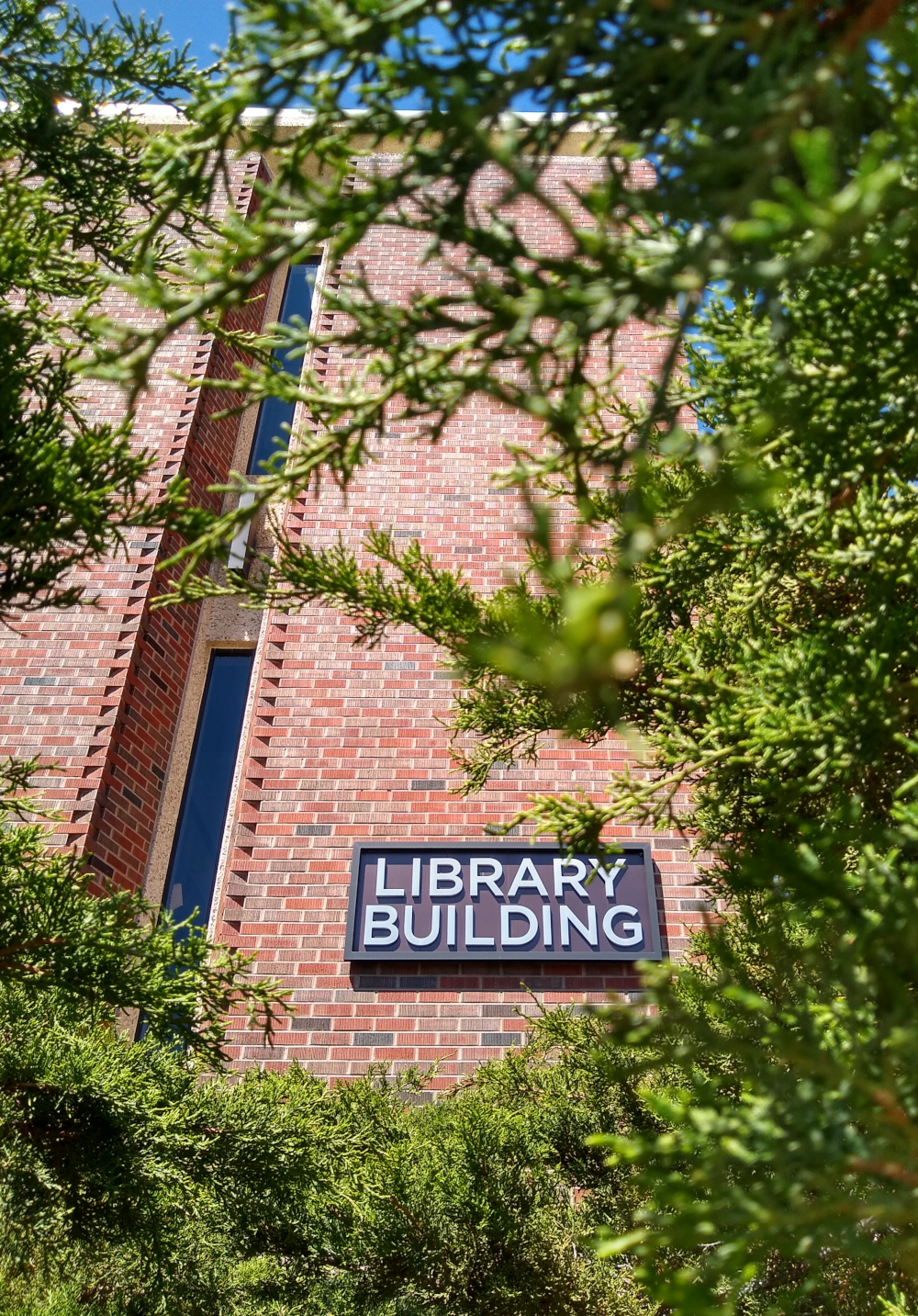 The Library sign, as seen through bushes