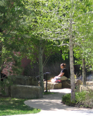a student sits alone in Peaks to Plains Park