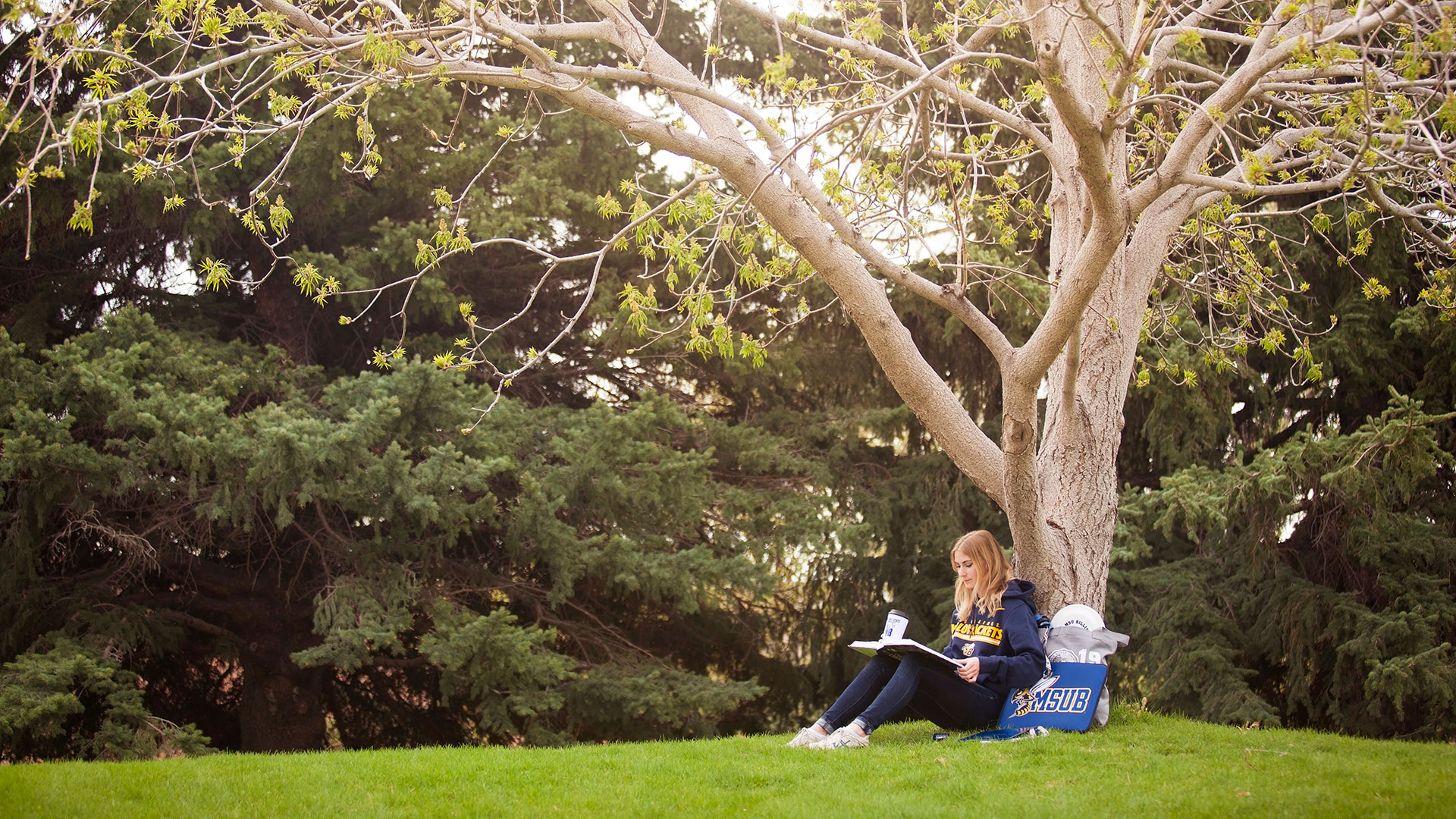 student sitting leaning against a tree