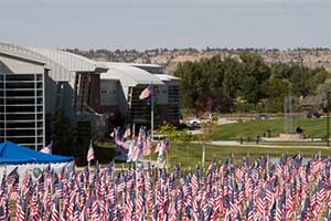 field of American flags on the City College campus