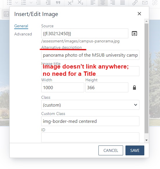 Image screen with alt text