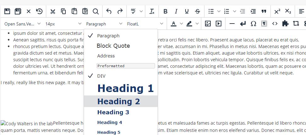 Heading styles in CMS
