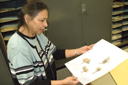 Dr. Kahleel with plant specimen