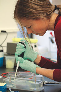 undergraduate science student