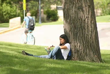 Student Enrollment at MSUB