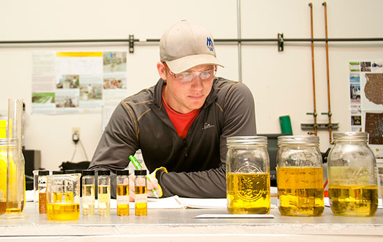 A Process Plant Technology major at City College takes notes about reclaimed vegetable oil samples as part of a biodiesel conversion assignment. 