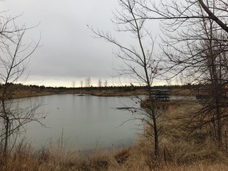a pond at the Audubon Center