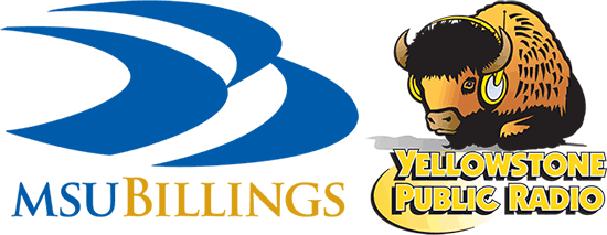 YPR logo and MSUB logo