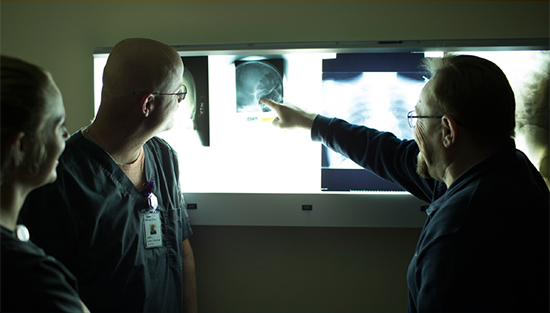 radiology technology students look at x-rays
