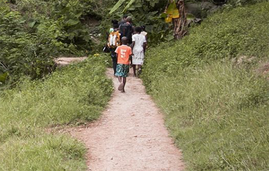 people on a path through the jungle