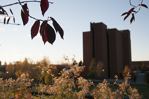 Fall on the MSUB university campus