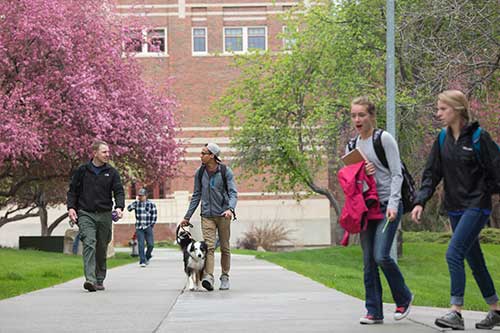 MSUB students on the university campus in Spring