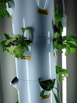 the NAAC plant tower