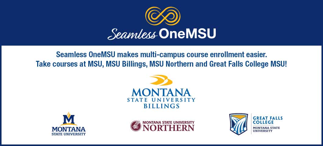 OneMSU logos