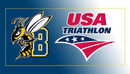 USA Triathlon logo